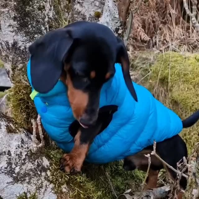  ..........fan.club_   'recent posts' 