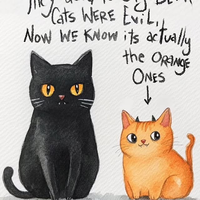  ....reams   'recent posts' 