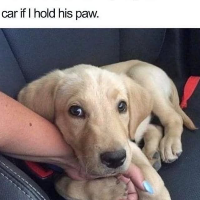  ..ps   'recent posts' 