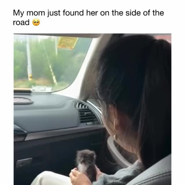  .....sarena   'recent posts' 