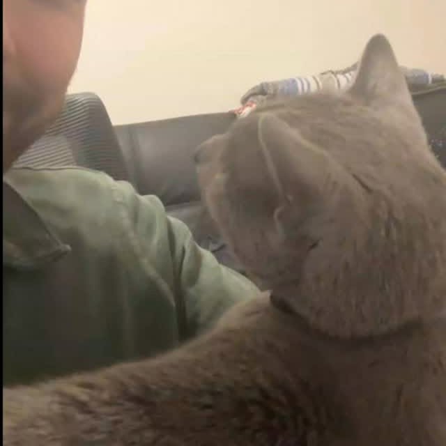  ......n_boris   'recent posts' 