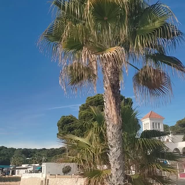  ........viajeros   'recent posts' 