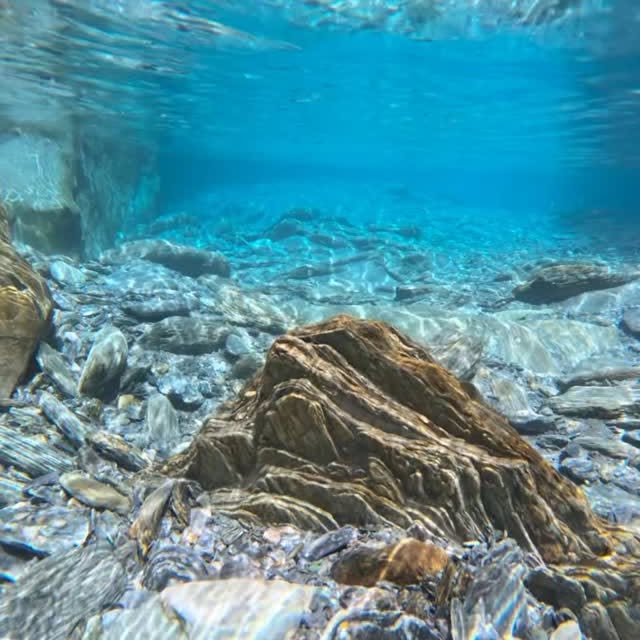  .....erting   'recent posts' 