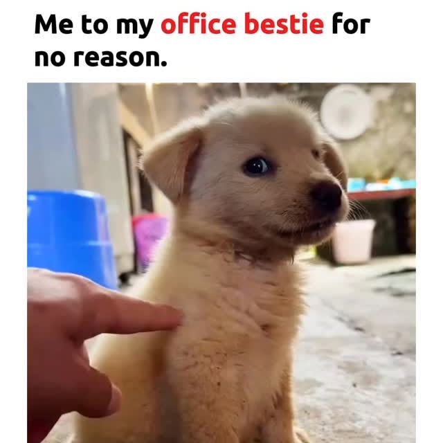  .......tethingz   'recent posts' 