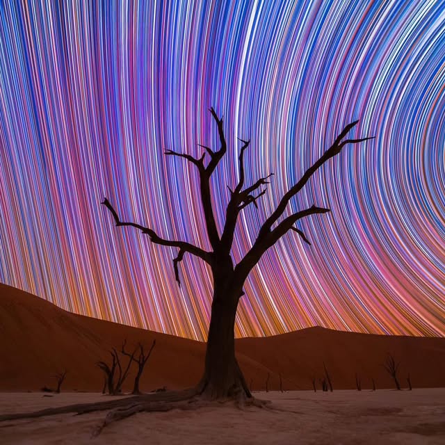  ........lchasers   'recent posts' 