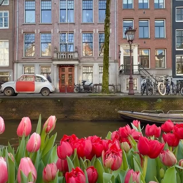  .......amworld   'recent posts' 