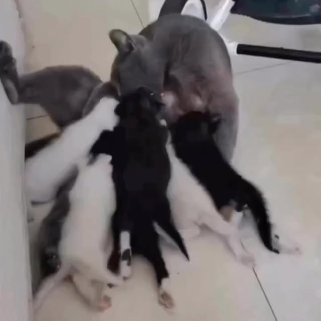  .......svibeez   'recent posts' 