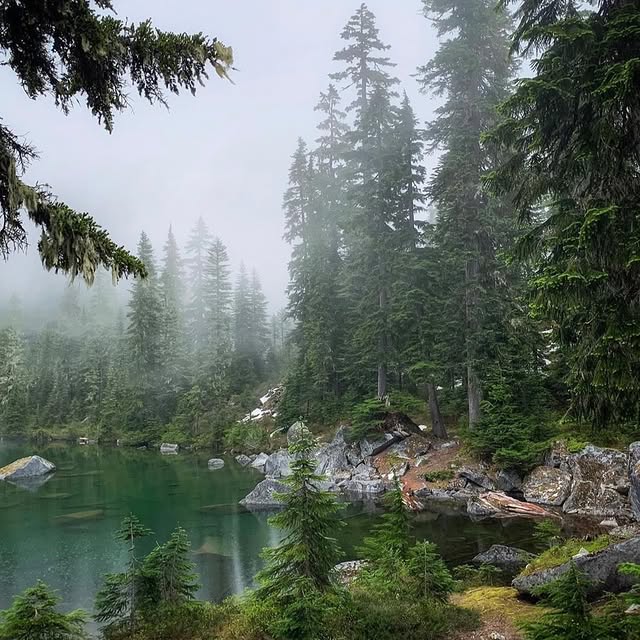  .........dventures   'recent posts' 