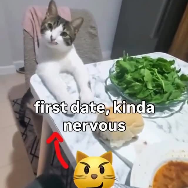  ....eowsy   'recent posts' 