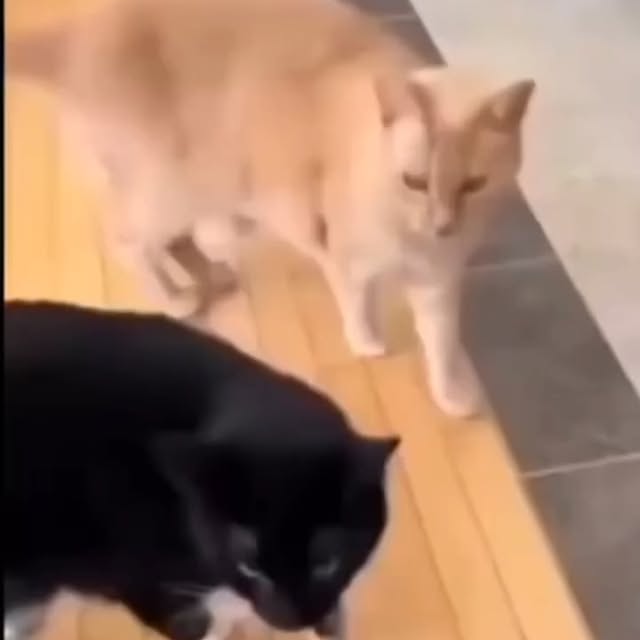  .....li9ht   'recent posts' 