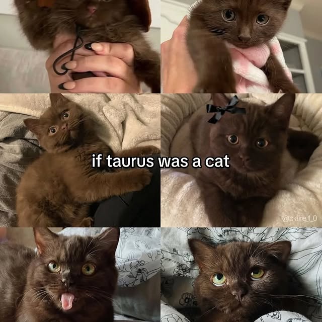  ....oful   'recent posts' 