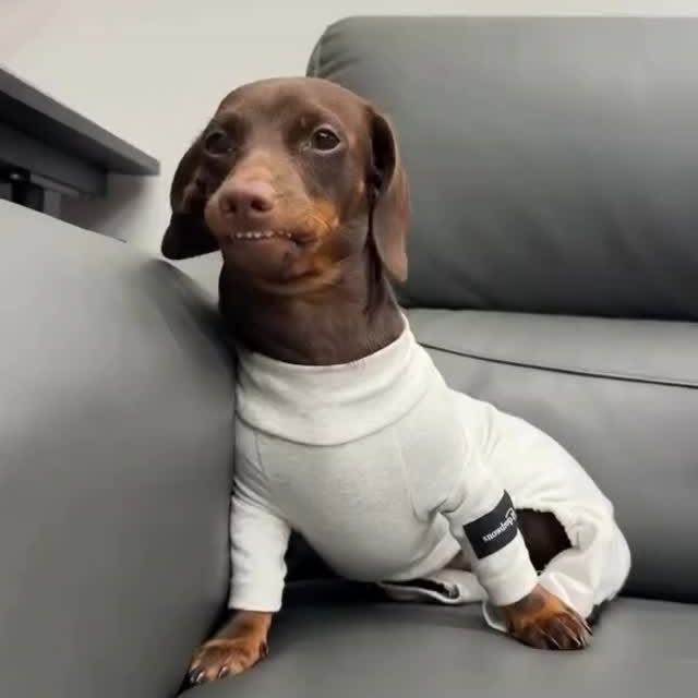  ..........fan.club_   'recent posts' 