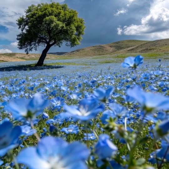  .....ature   'recent posts' 