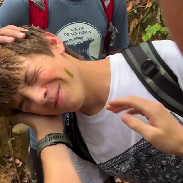  ...ral   'recent posts' 