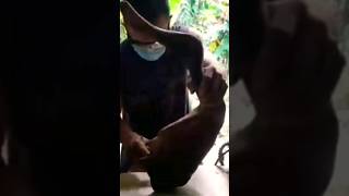  .... Rebs  'recent videos' 