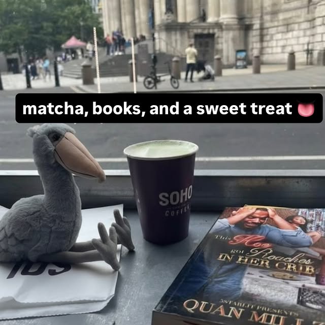  ..........rdoftheday   'recent posts' 