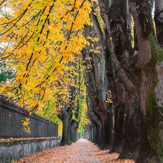  ........vacations   'recent posts' 