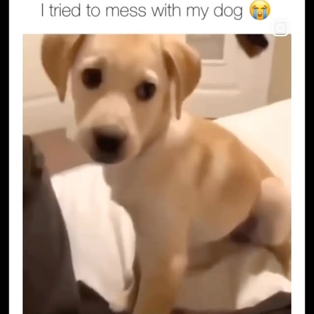  ....eems   'recent posts' 