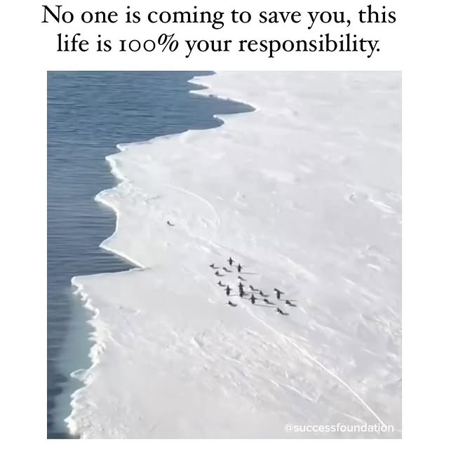  ........oundation   'recent posts' 