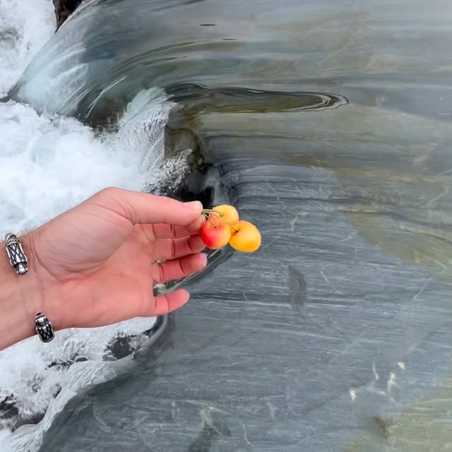  .....erting   'recent posts' 