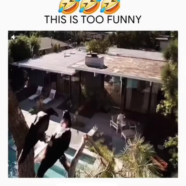  .....memes   'recent posts' 