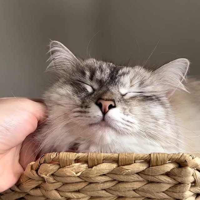  .....li9ht   'recent posts' 