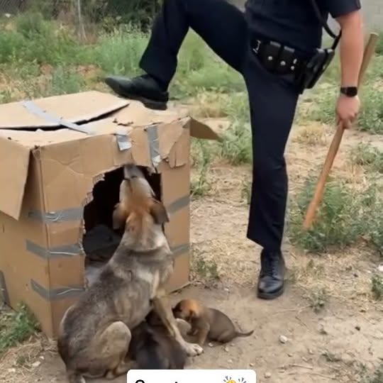  .......xplores   'recent posts' 