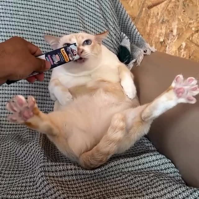  .....attos   'recent posts' 