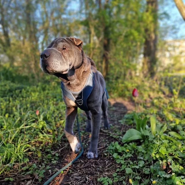  ......i.world   'recent posts' 