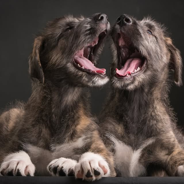  ..........hotography   'recent posts' 