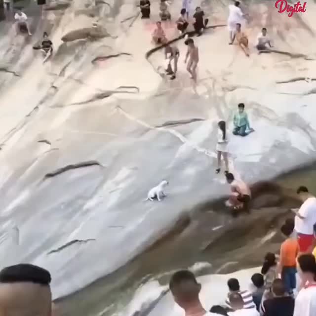  ....ash_   'recent posts' 