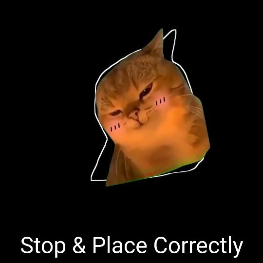  ......anacat   'recent posts' 