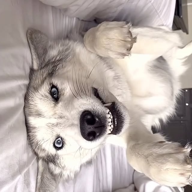  .....eteers   'recent posts' 