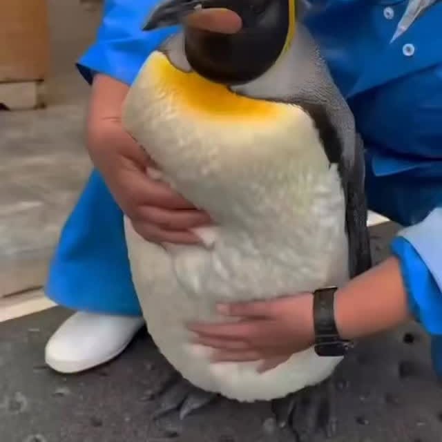  ....vita   'recent posts' 