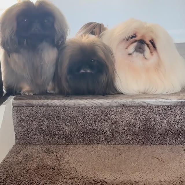  ........attandsam   'recent posts' 