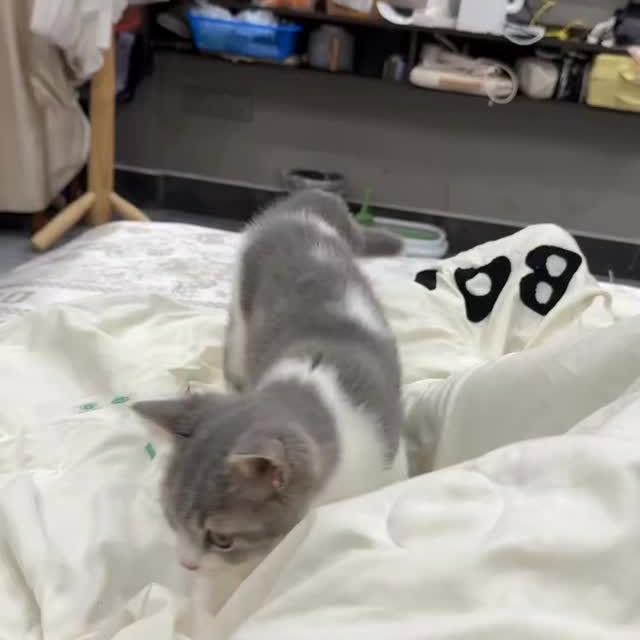  ......nd.kits   'recent posts' 