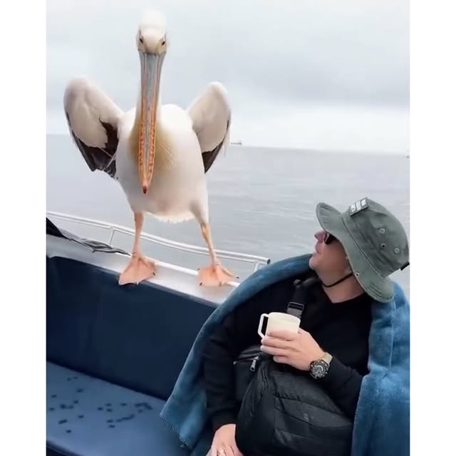  ........rldsnews   'recent posts' 