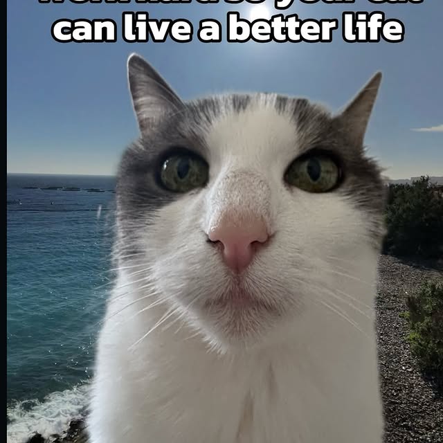  ....eowsy   'recent posts' 