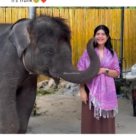  ......liimits   'recent posts' 