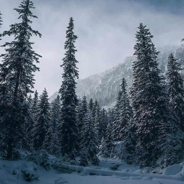  .........dventures   'recent posts' 