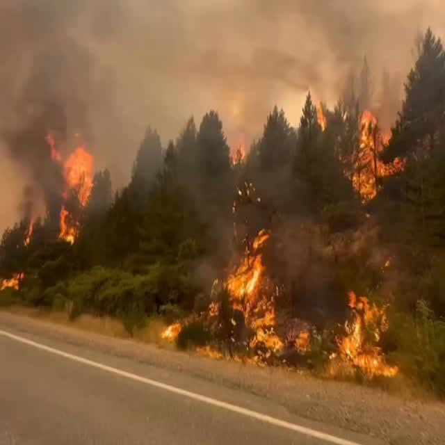  ..........argentina   'recent posts' 