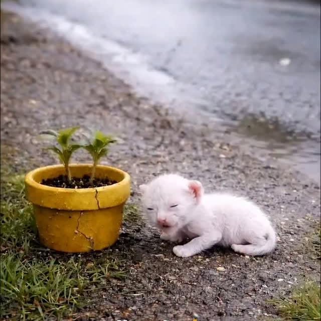  .......xplores   'recent posts' 