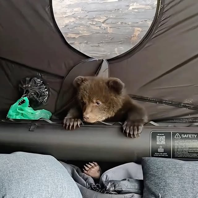  ........malsgram   'recent posts' 