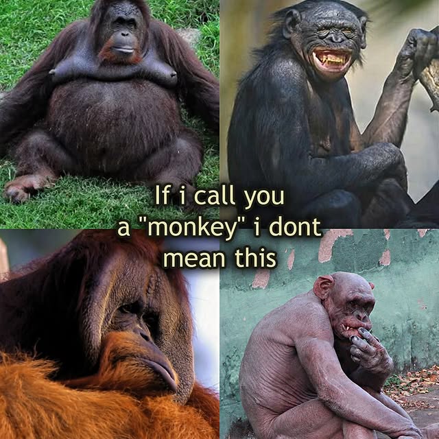  .....slv   'recent posts' 