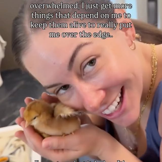  ......ohnson   'recent posts' 