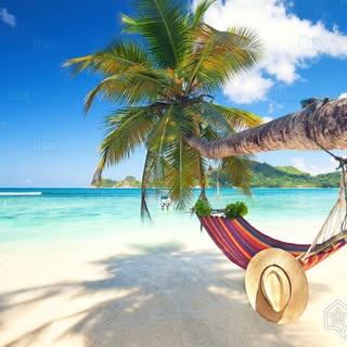 Hire ......fervor influencer with 919.1k