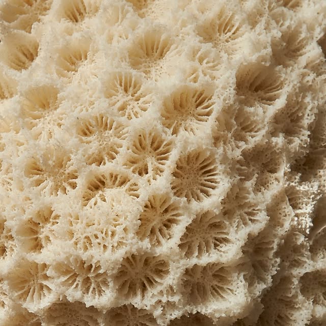  .....nnmon   'recent posts' 