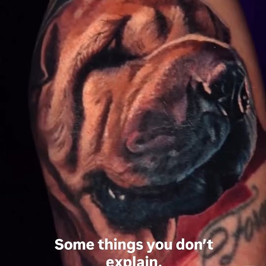  ......i.world   'recent posts' 