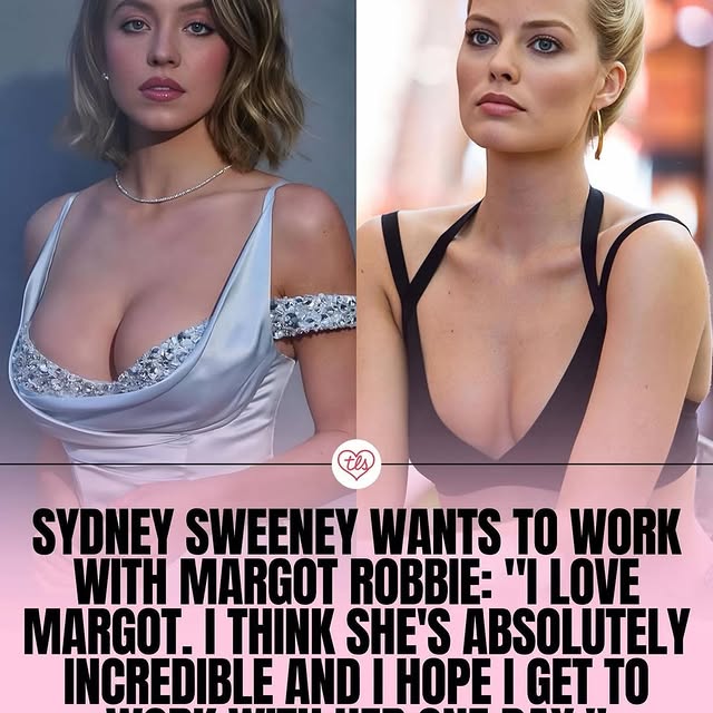  .....vid.s   'recent posts' 