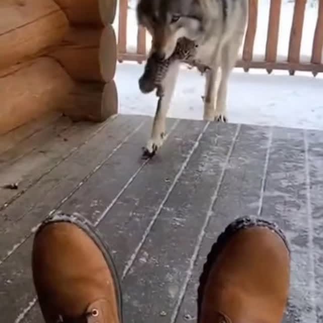  .....nly.ai   'recent posts' 